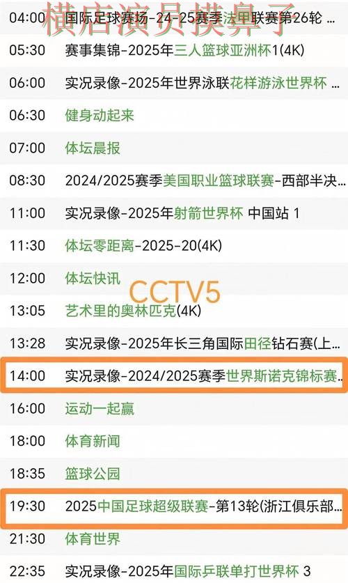 世界杯买球平台解析报告：直播入口+直播与实际体验总结 - FIFA World Cup 2026