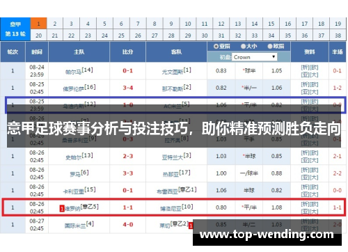 意甲足球赛事分析与投注技巧，助你精准预测胜负走向