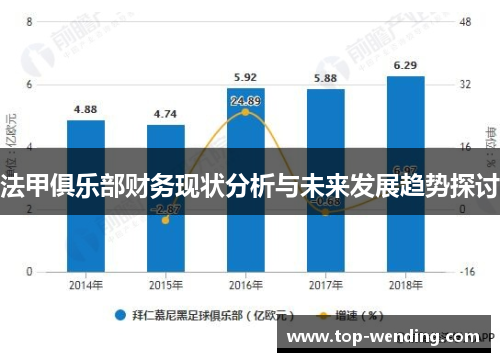 法甲俱乐部财务现状分析与未来发展趋势探讨