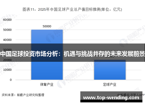 中国足球投资市场分析：机遇与挑战并存的未来发展前景