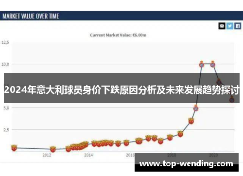 2024年意大利球员身价下跌原因分析及未来发展趋势探讨