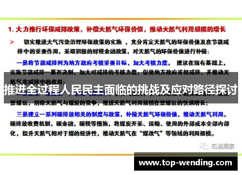 推进全过程人民民主面临的挑战及应对路径探讨