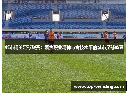 都市精英足球联赛：聚焦职业精神与竞技水平的城市足球盛宴