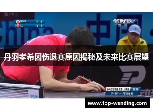 丹羽孝希因伤退赛原因揭秘及未来比赛展望