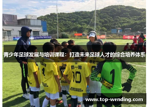 青少年足球发展与培训课程：打造未来足球人才的综合培养体系